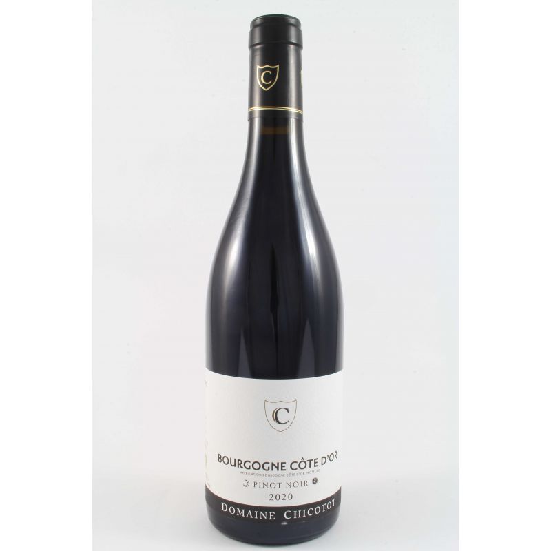 Domaine George Et Pascal Chicotot - Borgone Pinot Noir 2020 Ml. 750 - Divine Golosità Toscane