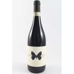 Ausonia - Montepulciano D'Abruzzo Colline Teramane "Apollo" 2018 Ml. 750 - Divine Golosità Toscane