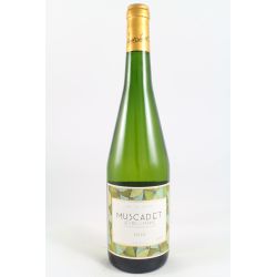 Sevre Et Maine - Muscadet 2020 Ml. 750 Divine Golosità Toscane