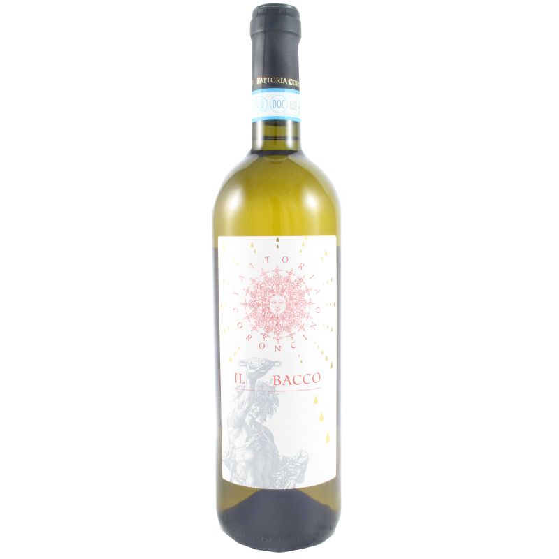 Coroncino - Verdicchio Dei Castelli di Jesi Classico Superiore Il Bacco 2022 Ml. 750 Divine Golosità Toscane