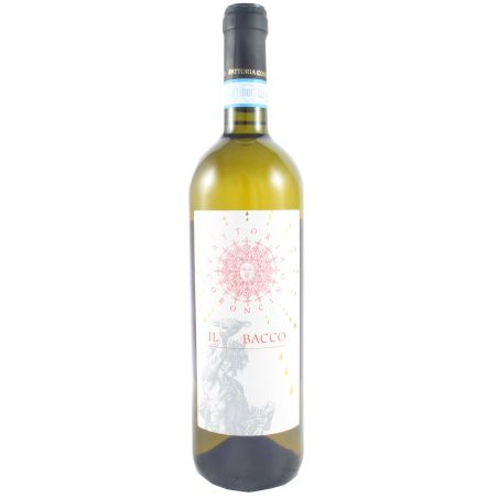 Coroncino - Verdicchio Dei Castelli di Jesi Classico Superiore Il Bacco 2022 Ml. 750 Divine Golosità Toscane