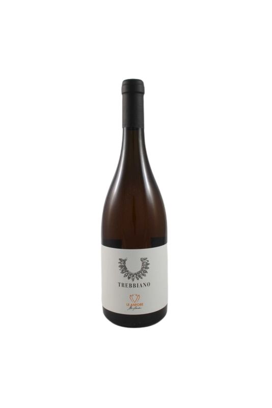 Le Anfore - Trebbiano Toscana Bianco 2017 Ml. 750 Divine Golosità Toscane Le Anfore - Trebbiano Toscana Bianco 2017 Ml. 750 Divine Golosità Toscane