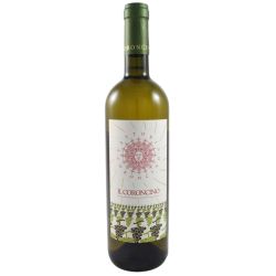 Coroncino - Verdicchio dei Castelli di Jesi Classico Superiore Il Coroncino 2022 Ml. 750 Divine Golosità Toscane