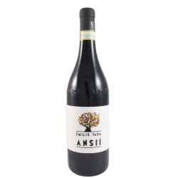 Emilio Vada - Barbera D' Asti Ansii 2019 Ml. 750 Divine Golosità Toscane