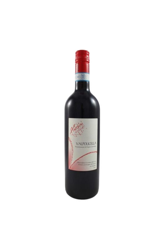 Antolini - Valpolicella 2022 Ml. 750 Divine Golosità Toscane