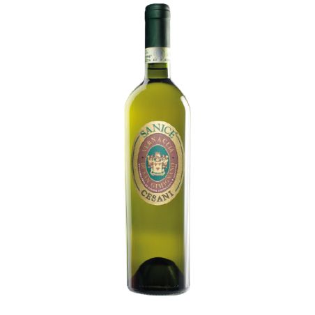 Cesani - Vernaccia Di San Gimignano Riserva Sanice 2021Ml. 750 Divine Golosità Toscane