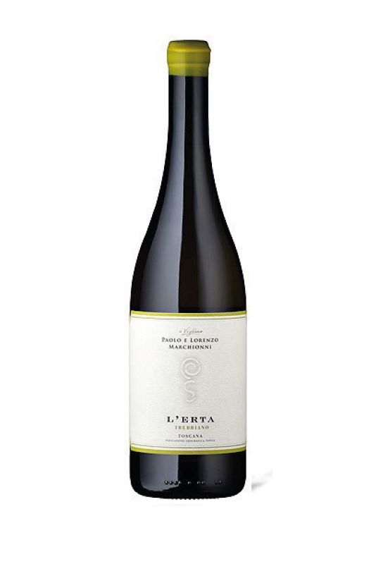 Paolo E Lorenzo Marchionni - Trebbiano L'Erta Magnum 2022 Divine Golosità Toscane