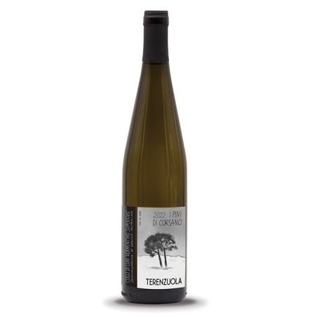 Terenzuola - Colli Di Luni Vermentino I Pini Di Corsano 2022 Ml. 750 Divine Golosità Toscane