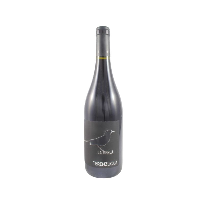 Terenzuola - Canaiolo La Merla Doppia Magnum 2021 Divine Golosità Toscane