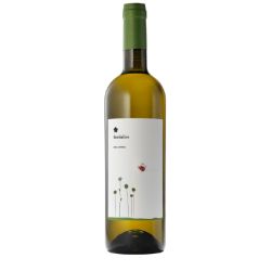 Roccafiore - Grechetto Fiordaliso 2023 Ml. 750 Divine Golosità Toscane