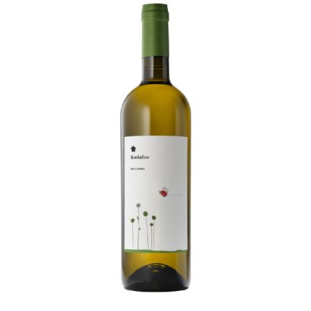 Roccafiore - Grechetto Fiordaliso 2023 Ml. 750 Divine Golosità Toscane