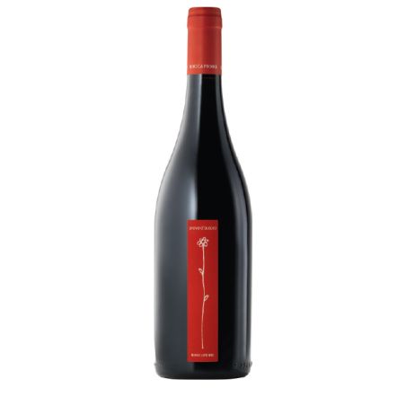 Roccafiore - Prova D'Autore 2020 Ml. 750 Divine Golosità Toscane
