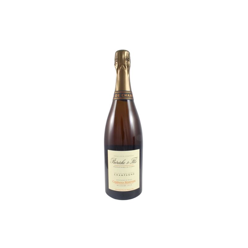 Bereche et Fils - Champagne Campania Remensis Extra Brut 2018 Ml. 750 Divine Golosità Toscane