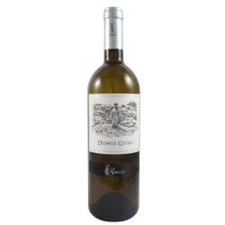 La Sibilla - Falanghina Domus Giulli 2021 Ml. 750 Divine Golosità Toscane
