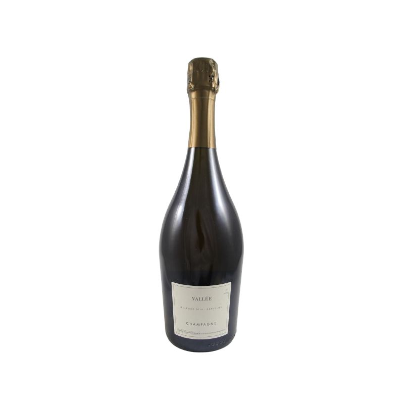 Domaine Les Monts Fournois - Champagne Vallée Grand Cru Extra Brut 2014 Ml. 750 Divine Golosità Toscane