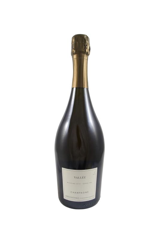 Domaine Les Monts Fournois - Champagne Vallée Grand Cru Extra Brut 2014 Ml. 750 Divine Golosità Toscane