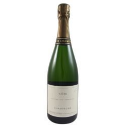 Domaine Les Monts Fournois - Champagne Côte Premier Cru Extra Brut 2010 Ml. 750 Divine Golosità Toscane