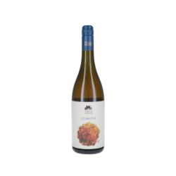 Villa Venti - Rubicone Bianco Tre Albe 2023 Ml. 750 Divine Golosità Toscane