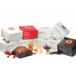 Bonci Bria Tronchetto Cioccolato Bianco & Vaniglia Gr. 450 Divine Golosità Toscane