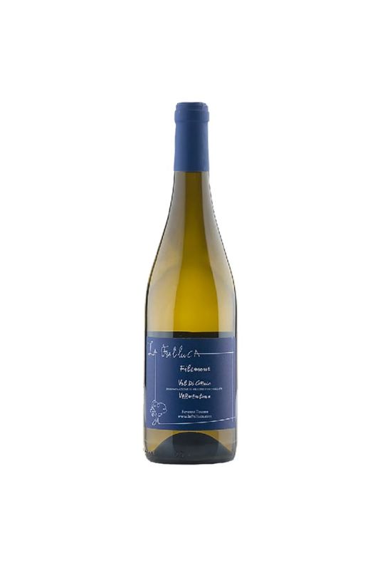 La Fralluca - Vermentino Filemone 2023 Ml. 750 Divine Golosità Toscane La Fralluca - Vermentino Filemone 2023 Ml. 750 Divine Golosità Toscane