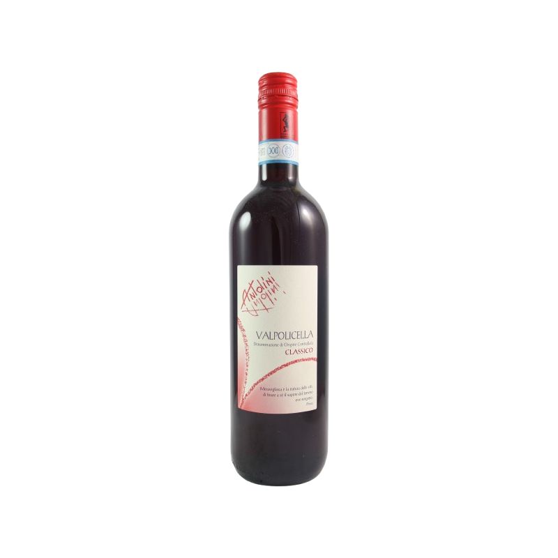 Antolini - Valpolicella 2023 Ml. 750 Divine Golosità Toscane