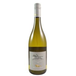 Haras de Pirque Chardonnay 2024 Ml. 750 Divine Golosità Toscane