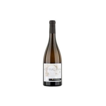 Pantaleone Pecorino Aspralama 2019 Ml. 750 Divine Golosità Toscane