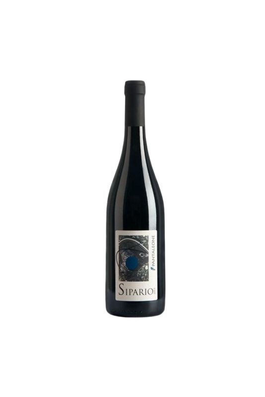 Pantaleone Marche Rosso Sipario 2021 Ml. 750 Divine Golosità Toscane Pantaleone Marche Rosso Sipario 2021 Ml. 750 Divine Golosità Toscane