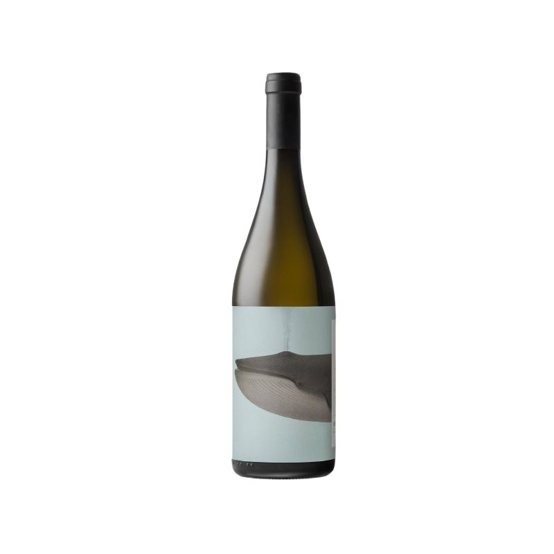 Noeli Ricci Trebbiano Romagna Brò 2023 Ml. 750 Divine Golosità Toscane