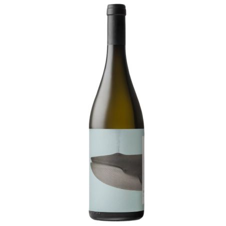Noeli Ricci Trebbiano Romagna Brò 2023 Ml. 750 Divine Golosità Toscane