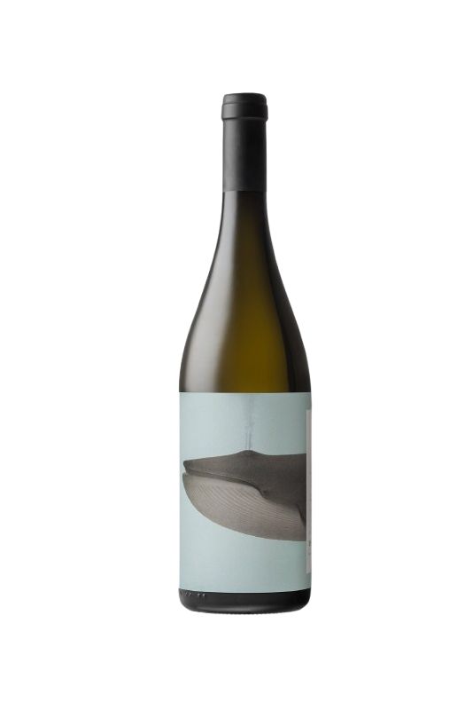 Noeli Ricci Trebbiano Romagna Brò 2023 Ml. 750 Divine Golosità Toscane