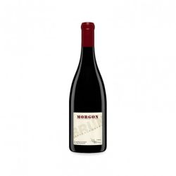 Jean Paul Brun - Morgon 2022 Ml. 750 Divine Golosità Toscane