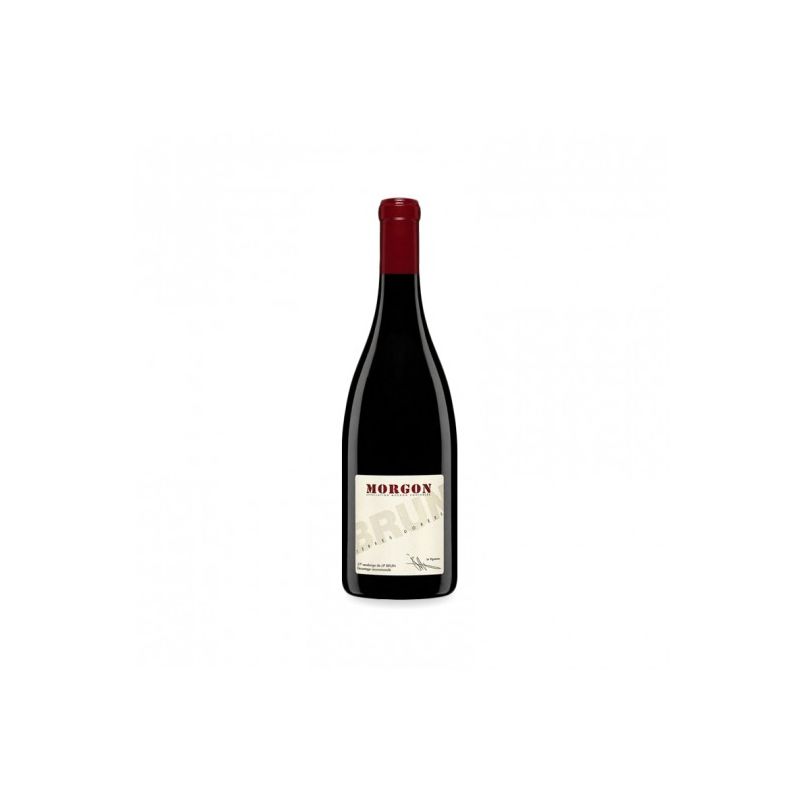 Jean Paul Brun - Morgon 2022 Ml. 750 Divine Golosità Toscane