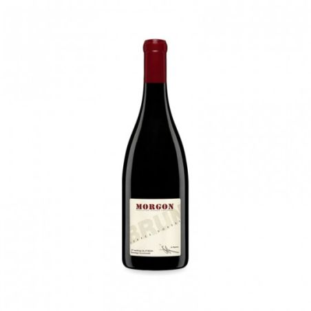 Jean Paul Brun - Morgon 2022 Ml. 750 Divine Golosità Toscane