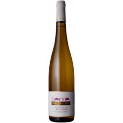 Dirler Cadé Gewurztraminer G.C. Kitterlé Elément Terre 2020 Ml. 750 Divine Golosità Toscane