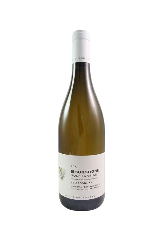 Domaine Christian Bellang Borgogna Chardonnay 2020 Ml. 750 Divine Golosità Toscane Domaine Christian Bellang Borgogna Chardonnay 2020 Ml. 750 Divine Golosità Toscane