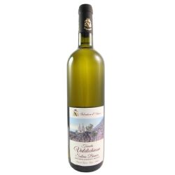 Salvatore D'Amico Salina Bianco Valdichiesa 2023 Ml. 750 Divine Golosità Toscane