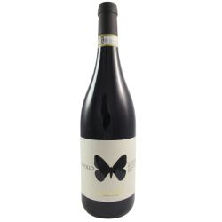 Ausonia Montepulciano D'Abruzzo Apollo 2022 Ml. 750 Divine Golosità Toscane