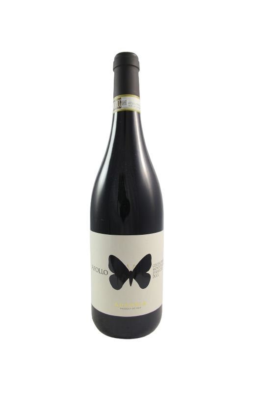 Ausonia Montepulciano D'Abruzzo Apollo 2022 Ml. 750 Divine Golosità Toscane