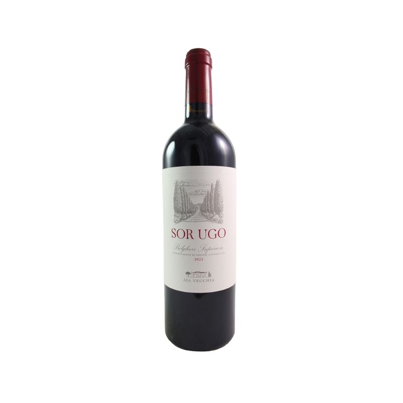 Aia Vecchia Bolgheri Sor Ugo 2022 Ml. 750 Divine Golosità Toscane