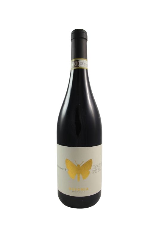Ausonia Montepulciano D'Abruzzo Colline Teramane Riserva Nostradamus 2019 Ml. 750 Divine Golosità Toscane