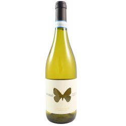 Ausonia Trebbiano D'Abruzzo Apollo 2022 Ml. 750 Divine Golosità Toscane