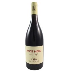 Vallarom Pinot Nero Filippo Scienza 2020 Ml. 750 Divine Golosità Toscane