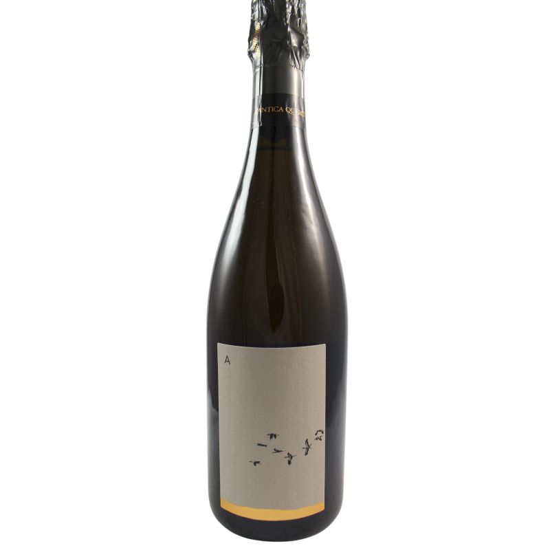 L'Antica Querce Conegliano Valdobbiadene Prosecco Superiore A 2022 Ml. 750 Divine Golosità Toscane