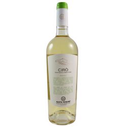Santa Venere Cirò Bianco 2024 Ml. 750 Divine Golosità Toscane