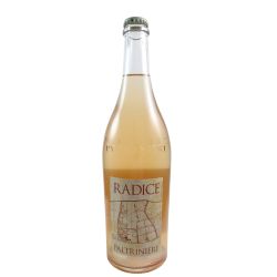 Paltrinieri Lambrusco Di Sorbara Radice 2024 Ml. 750 Divine Golosità Toscane