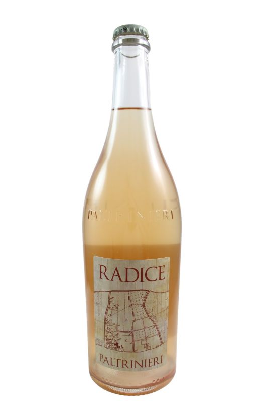 Paltrinieri Lambrusco Di Sorbara Radice 2024 Ml. 750 Divine Golosità Toscane