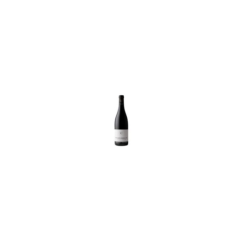 Domaine George Chicotot Nuits St Georges Premier Cru Les saint Georges 2022 Ml. 750 Divine Golosità Toscane