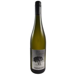 Terenzuola Colli Di Luni Vermentino I Pini Di Corsano 2023 Ml. 750 Divine Golosità Toscane