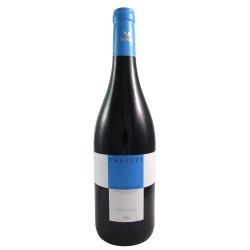 Panizzi San Gimignano Pinot Nero 2022 Ml. 750 Divine Golosità Toscane